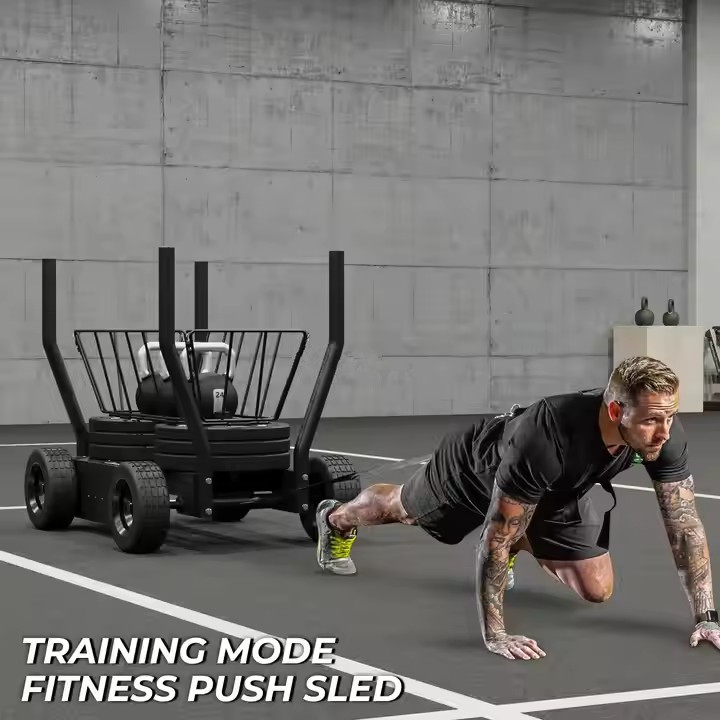 헬스 장비 피트니스 풀 푸시 파워 트레이닝 웨이트 플레 - Fitness Equipment 리뷰 및 가격